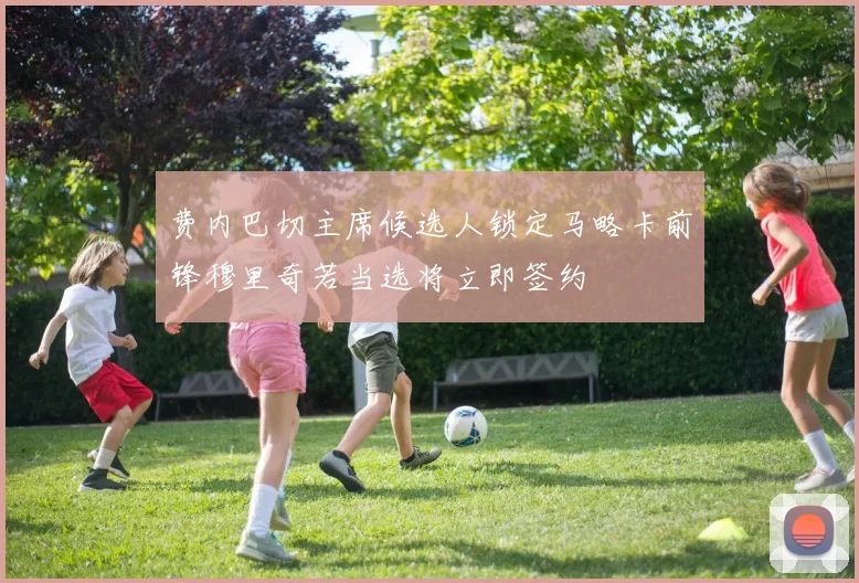 费内巴切主席候选人锁定马略卡前锋穆里奇若当选将立即签约
